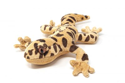 Cornelissen - Kuscheltier - Leopardgecko - 27 cm, 11,90 €