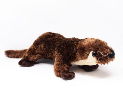 Kuscheltier - Otter - 47 cm, 25,95 €
