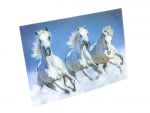 3D Postkarte Pferde weiss