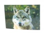 3D Postkarte Wolfskopf