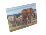 3D Postkarte Elefanten Familie
