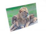 3D Postkarte Löwen Familie