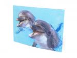3D Postkarte Delfine