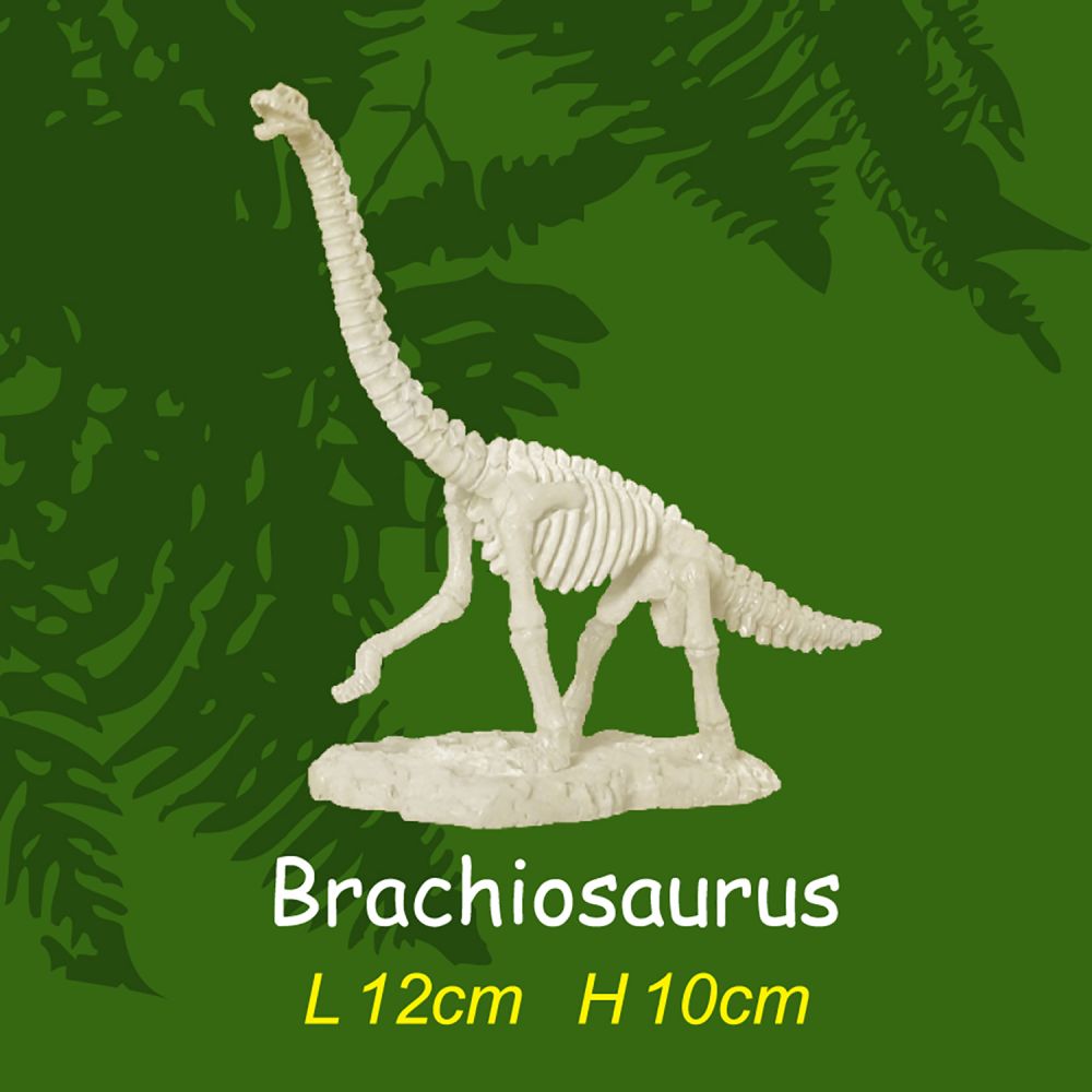 Ausgrabungsset - Dinoskelett M - Brachiosaurus, 9,25 €
