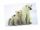 3D Postkarte Eisbär Familie
