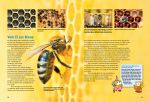 Kinderbuch - Entdecke die Bienen (50)